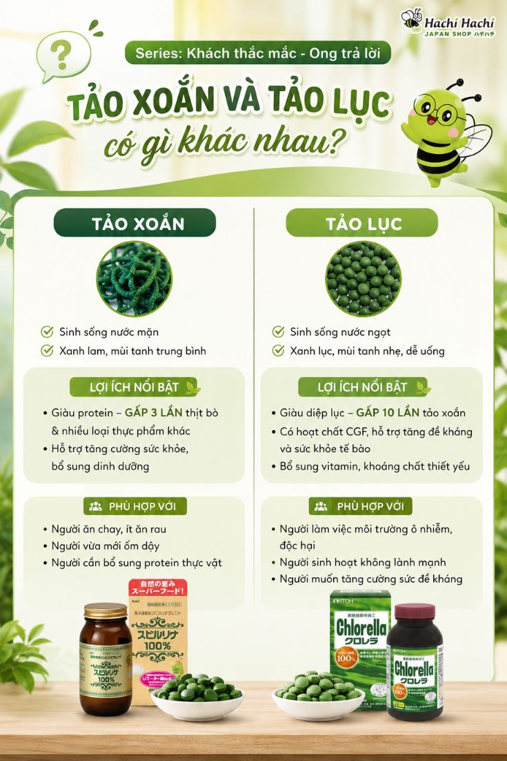 Oso-sanh-tao-luc-chlorella-va-tao-spirulina.jpg